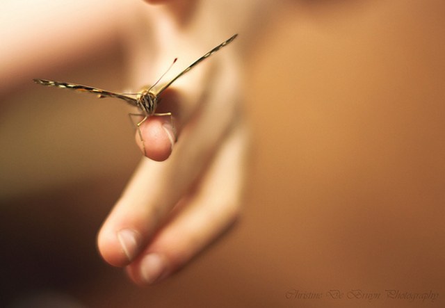 极速到账的ddos网页端